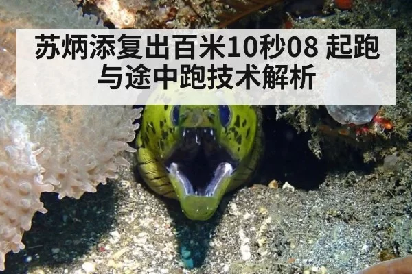 苏炳添复出百米10秒08 起跑与途中跑技术解析